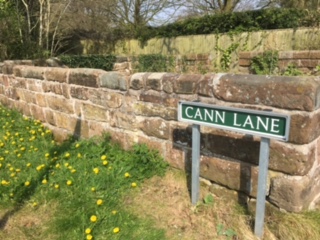 cann lane